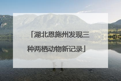 湖北恩施州发现三种两栖动物新记录