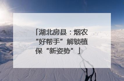 湖北房县：烟农“好帮手”解锁植保“新姿势”