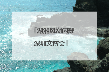 湖湘风潮闪耀深圳文博会