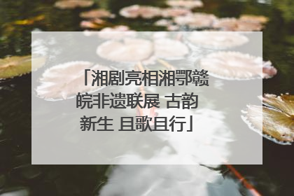 湘剧亮相湘鄂赣皖非遗联展 古韵新生 且歌且行