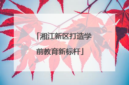 湘江新区打造学前教育新标杆