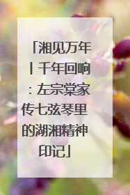 湘见万年丨千年回响：左宗棠家传七弦琴里的湖湘精神印记