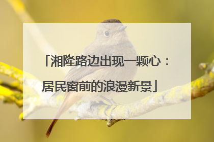 湘隆路边出现一颗心：居民窗前的浪漫新景