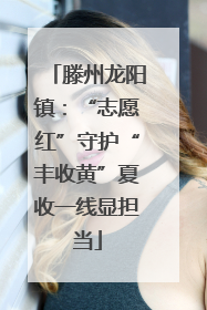 滕州龙阳镇：“志愿红”守护“丰收黄”夏收一线显担当