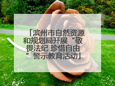 滨州市自然资源和规划局开展“敬畏法纪 珍惜自由”警示教育活动