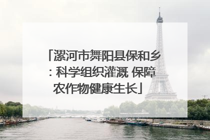 漯河市舞阳县保和乡：科学组织灌溉 保障农作物健康生长