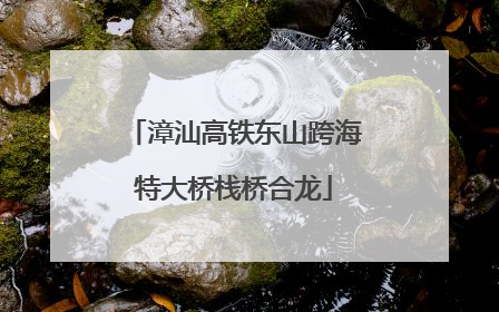 漳汕高铁东山跨海特大桥栈桥合龙