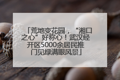荒地变花园，“湘口之心”好称心！武汉经开区5000余居民推门见绿满眼风景