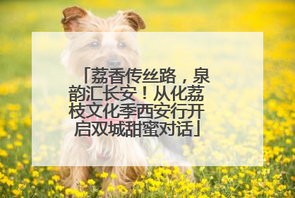 荔香传丝路，泉韵汇长安！从化荔枝文化季西安行开启双城甜蜜对话