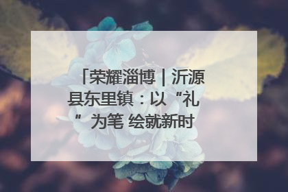 荣耀淄博｜沂源县东里镇：以“礼”为笔 绘就新时代乡风文明画卷