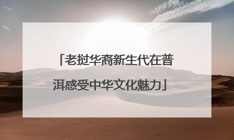 老挝华裔新生代在普洱感受中华文化魅力