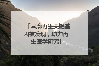 耳廓再生关键基因被发现，助力再生医学研究