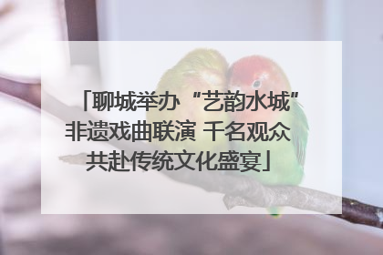 聊城举办“艺韵水城”非遗戏曲联演 千名观众共赴传统文化盛宴