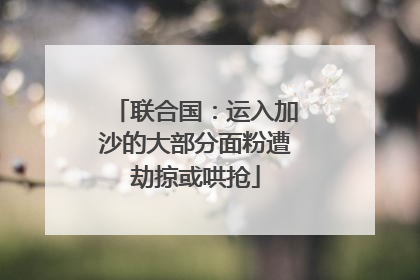 联合国：运入加沙的大部分面粉遭劫掠或哄抢