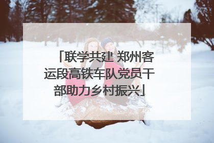 联学共建 郑州客运段高铁车队党员干部助力乡村振兴