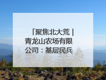 聚焦北大荒｜青龙山农场有限公司：基层民兵参与农业环境综合治理显效