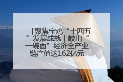 聚焦宝鸡“十四五”发展成就丨岐山“一碗面”经济全产业链产值达162亿元 入选全国典型县