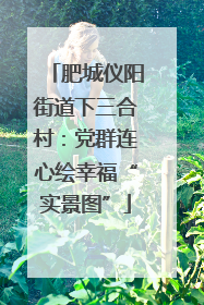 肥城仪阳街道下三合村：党群连心绘幸福“实景图”