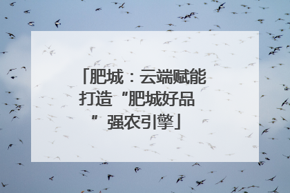 肥城：云端赋能 打造“肥城好品”强农引擎
