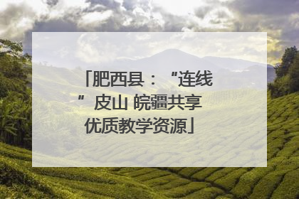 肥西县：“连线”皮山 皖疆共享优质教学资源