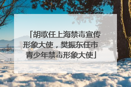 胡歌任上海禁毒宣传形象大使，樊振东任市青少年禁毒形象大使