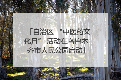自治区 “中医药文化月” 活动在乌鲁木齐市人民公园启动