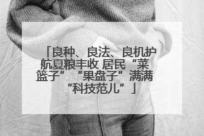 良种、良法、良机护航夏粮丰收 居民“菜篮子”“果盘子”满满“科技范儿”