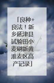 良种+良法！新乡延津县试验田小麦刷新黄淮麦区高产记录