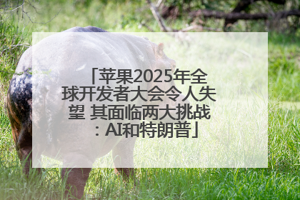 苹果2025年全球开发者大会令人失望 其面临两大挑战：AI和特朗普