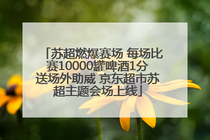 苏超燃爆赛场 每场比赛10000罐啤酒1分送场外助威 京东超市苏超主题会场上线