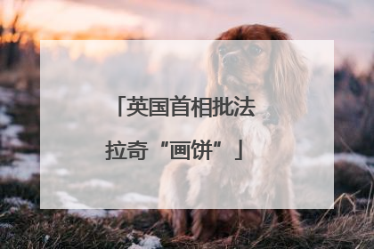 英国首相批法拉奇“画饼”