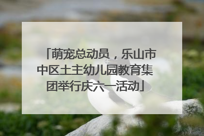 萌宠总动员，乐山市中区土主幼儿园教育集团举行庆六一活动