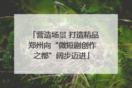 营造场景 打造精品 郑州向“微短剧创作之都”阔步迈进