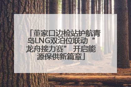董家口边检站护航青岛LNG双泊位联动“龙舟接力赛” 开启能源保供新篇章