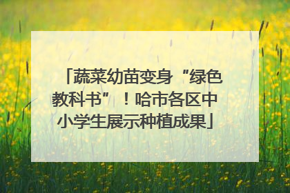 蔬菜幼苗变身“绿色教科书”！哈市各区中小学生展示种植成果