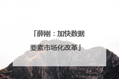 薛刚：加快数据要素市场化改革