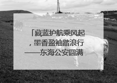 藏蓝护航乘风起，墨香盈袖踏浪行——东海公安圆满“交卷”