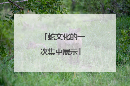蛇文化的一次集中展示