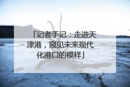 记者手记：走进天津港，窥见未来现代化港口的模样