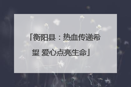 衡阳县：热血传递希望 爱心点亮生命