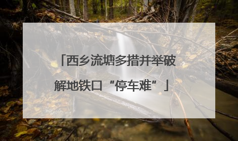 西乡流塘多措并举破解地铁口“停车难”