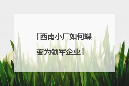 西南小厂如何蝶变为领军企业