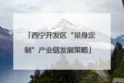 西宁开发区“量身定制”产业链发展策略