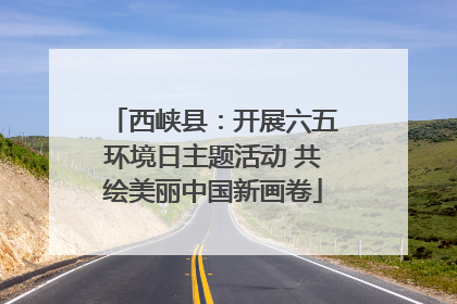 西峡县：开展六五环境日主题活动 共绘美丽中国新画卷
