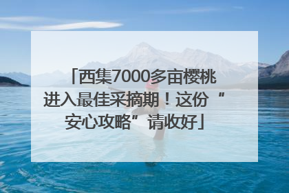 西集7000多亩樱桃进入最佳采摘期！这份“安心攻略”请收好