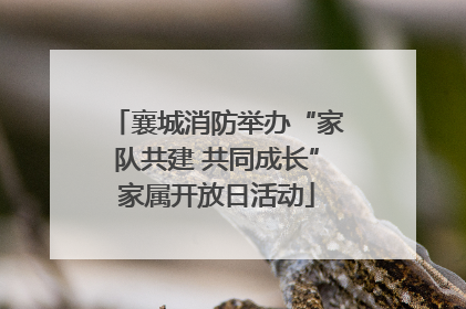 襄城消防举办“家队共建 共同成长”家属开放日活动