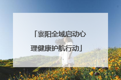 襄阳全域启动心理健康护航行动
