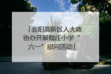 襄阳高新区人大政协办开展魏庄小学“六一”慰问活动