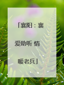 襄阳：襄爱助听 情暖老兵