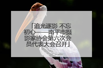 追光逐影 不忘初心——南平市摄影家协会第六次会员代表大会召开